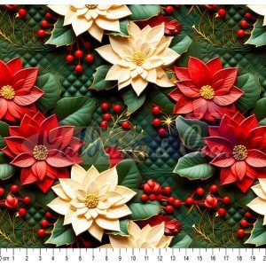 Natal 2024 cor - 01 (Est. Digital)